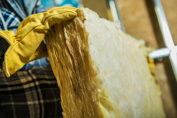 Best Insulation Contractor Near Me  in Cypress Gardens, FL